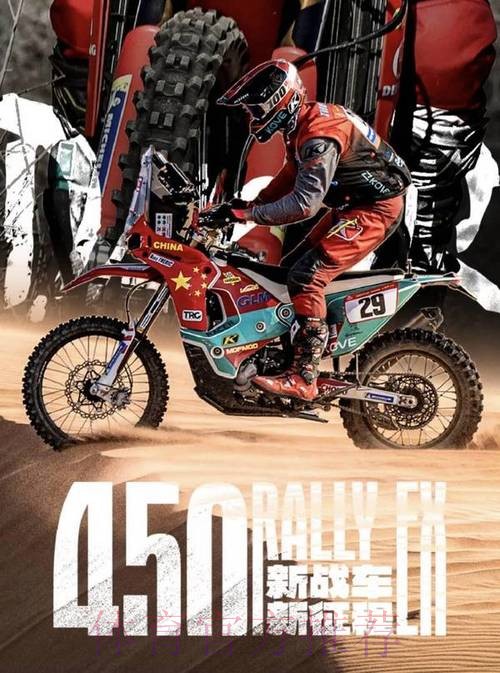 达喀尔拉力赛收官 中国车手表现不俗 达喀尔拉力赛收官 中国车手表现不俗